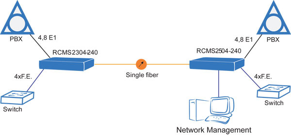      1   Fast Ethernet / Raisecom